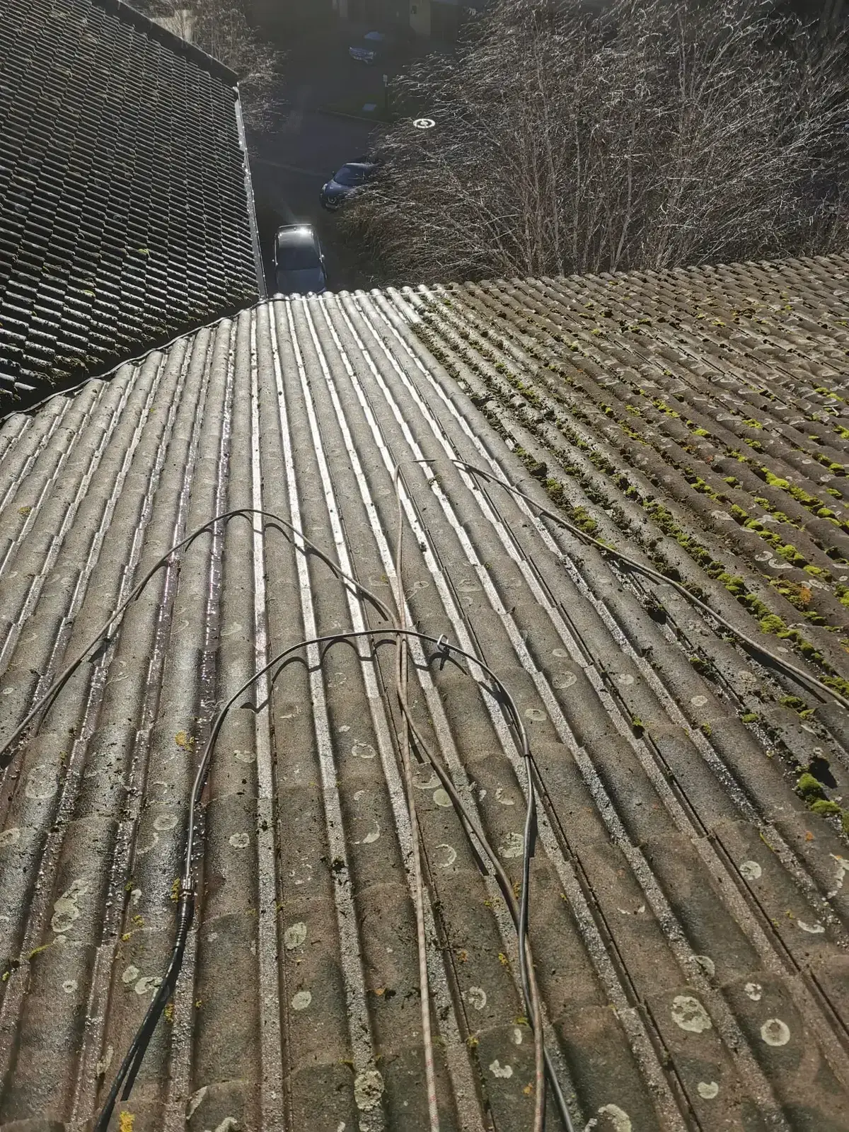 Roof tiles showing a clear contrast between cleaned and untreated sections